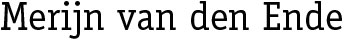 Merijn van den Ende